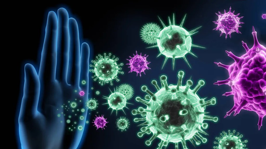 The first-ever complete map of immune system connections offers new pathways to&nbsp;therapies