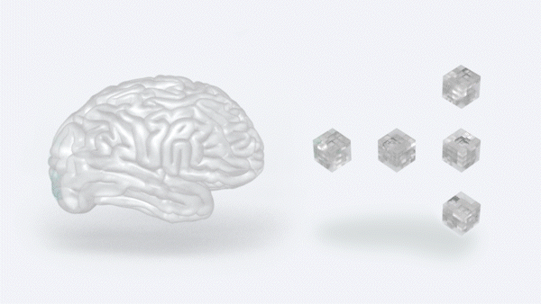 Meta will research the human brain to improve language&nbsp;AI