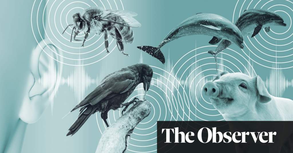 Can artificial intelligence really help us talk to the&nbsp;animals?