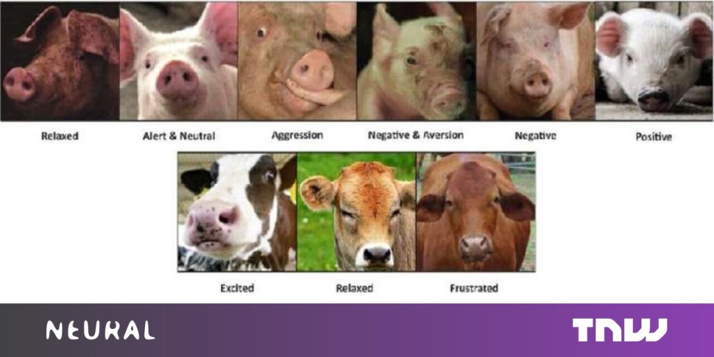 A scientist created emotion recognition AI for&nbsp;animals