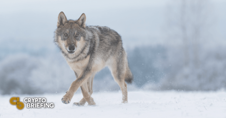 A Metaverse Wolf? That’ll Be $80,000 in Ethereum, Please – Crypto&nbsp;Briefing