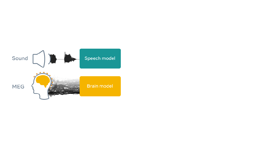 Using AI to decode speech from brain&nbsp;activity
