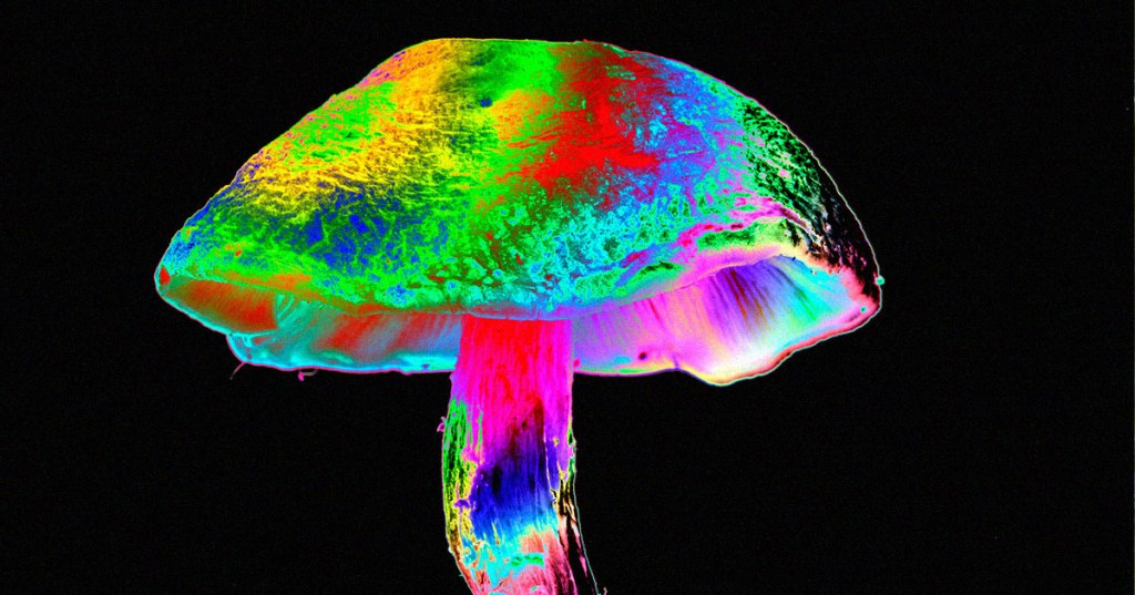 Magic Mushrooms Helped 83% of People Cut Excessive&nbsp;Drinking