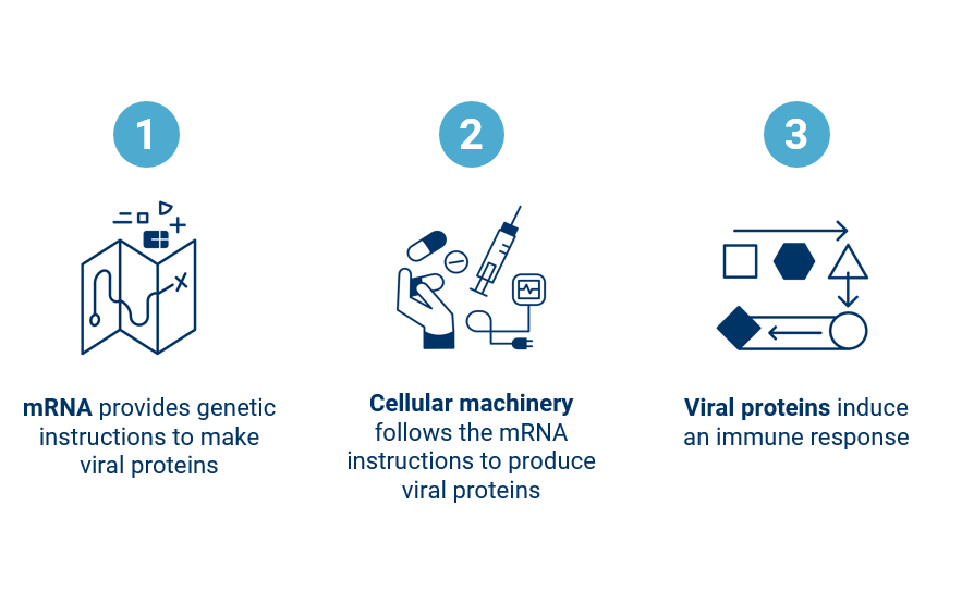 What Are mRNA Therapies, And How Are They Used For&nbsp;Vaccines?