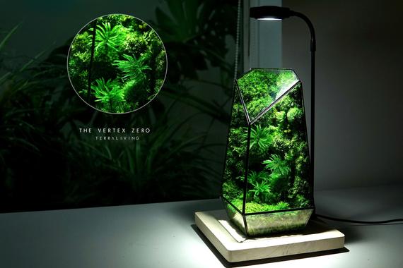The Vertex ZERO S Pure Moss&nbsp;Wall