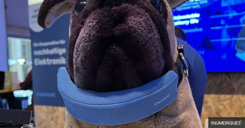 IFA 2022 – Le Smart Dog Collar d’Invoxia, produit le plus &laquo;&nbsp;ouaf&nbsp;&raquo; du salon&nbsp;berlinois
