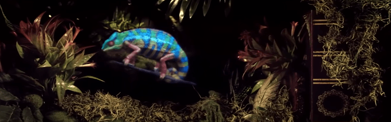 New Holographic Display Hacks The Light&nbsp;Field