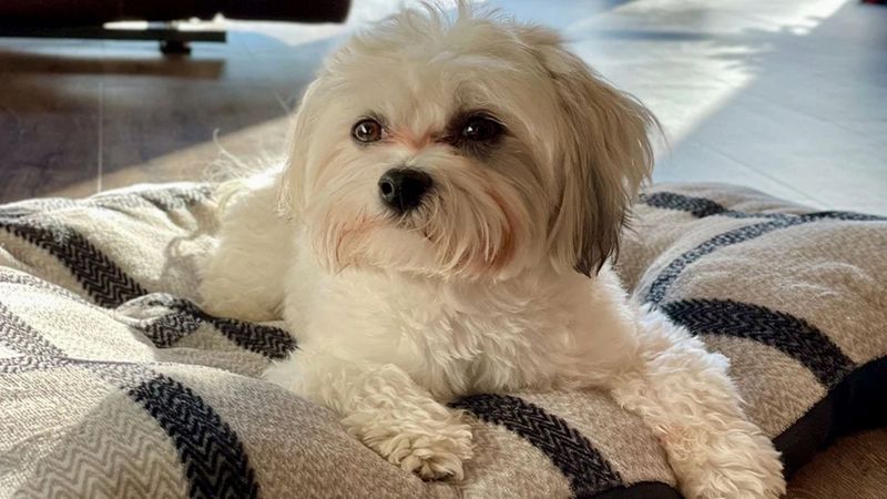 Fake 3d Image in&nbsp;Three.js