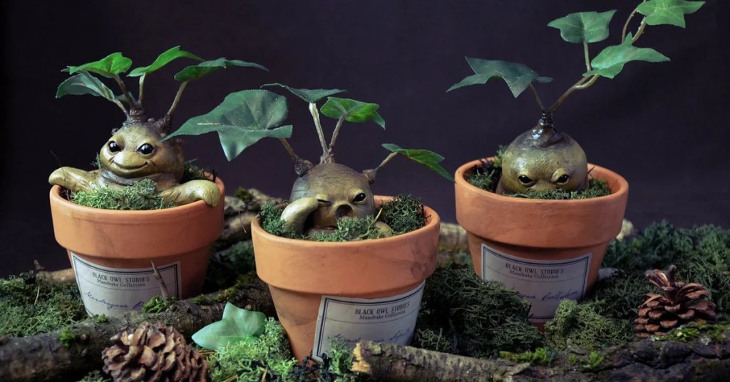 Adorable Handmade Mandrake House Plants for&nbsp;Potterheads