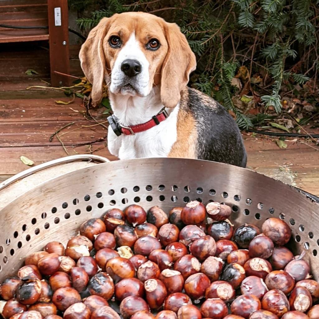 Encausse.net – Weekly #54