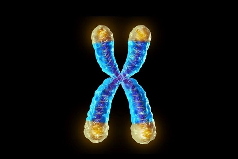 Vieillissement cellulaire: un paradoxe fondamental&nbsp;élucidé