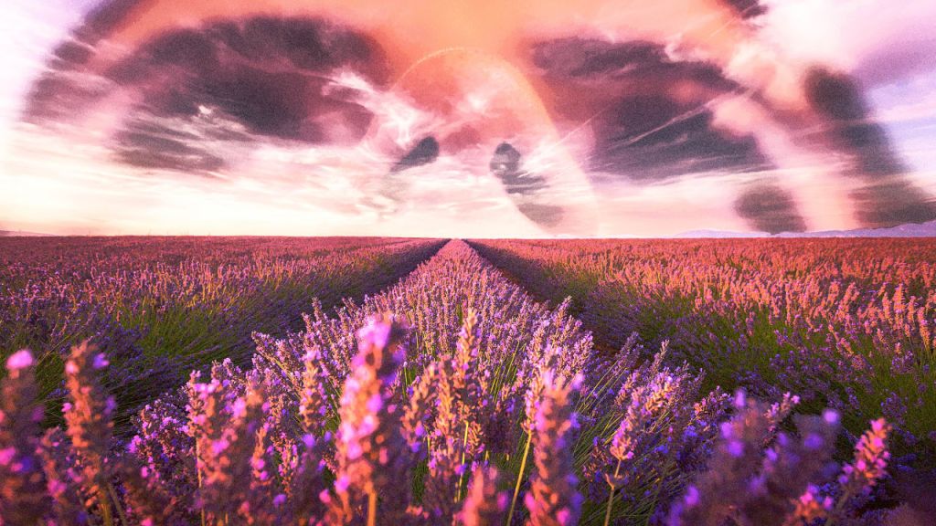 How the travel industry uses scents to improve your vacation—and entice you to&nbsp;return