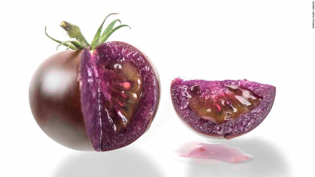 USDA approves genetically-modified purple&nbsp;tomato