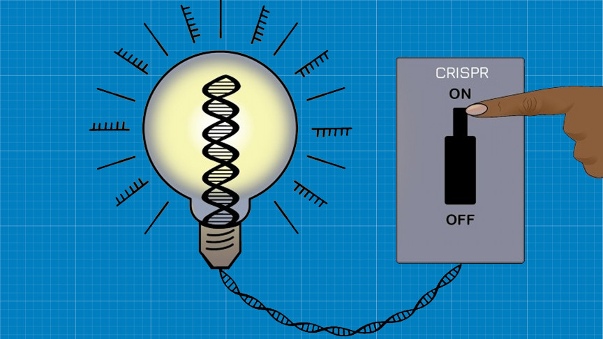 CRISPRoff : Scientists Created an &lsquo;On-Off Switch&rsquo; for Gene&nbsp;Editing