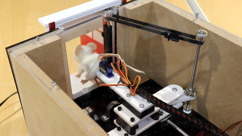 Peek Behind The Curtain Of This Robotic&nbsp;Mouse