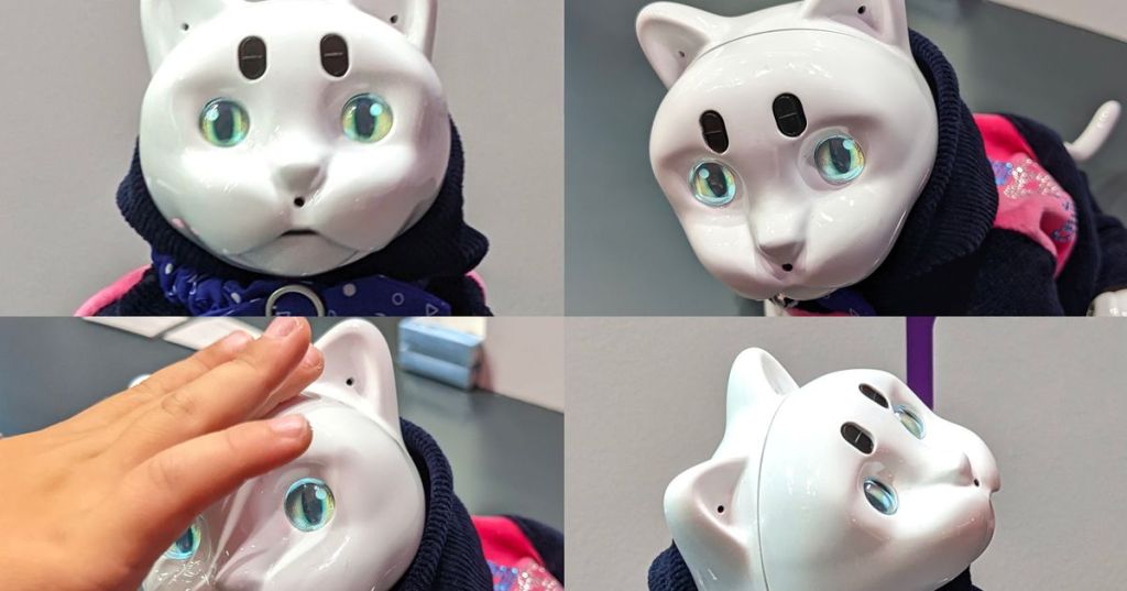 IFA 2022 – Le produit le plus flippant :&nbsp;Maicat