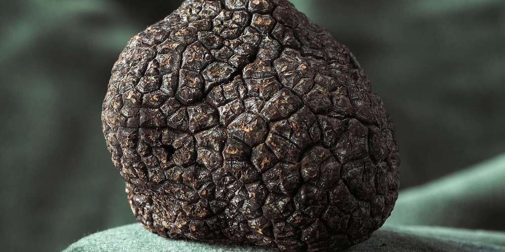 This 2.78 Pound French Truffle Is Being Sold as an&nbsp;NFT