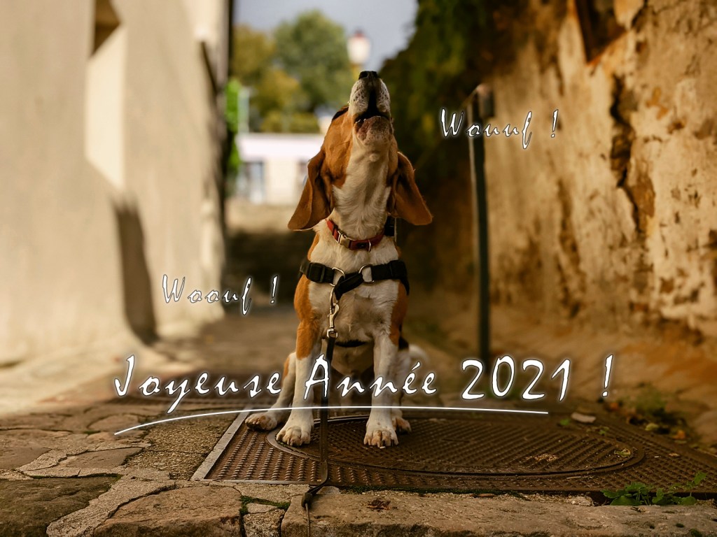 Le reboot 20-21 d&rsquo;une vie&nbsp;?