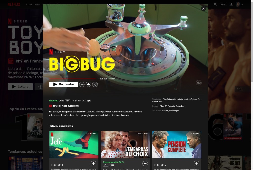 Netflix : Big&nbsp;Bug