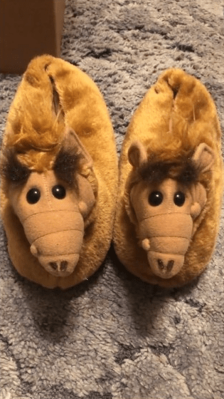 Au chaud pour l’hiver avec&nbsp;Alf