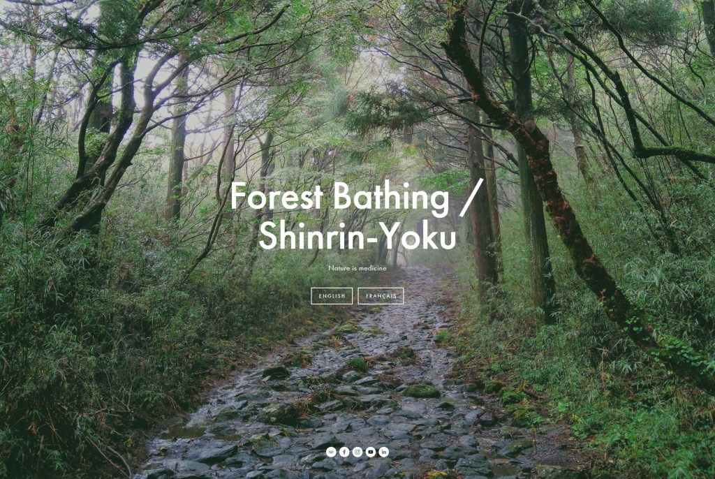 Forest Bathing: Nature is&nbsp;medicine