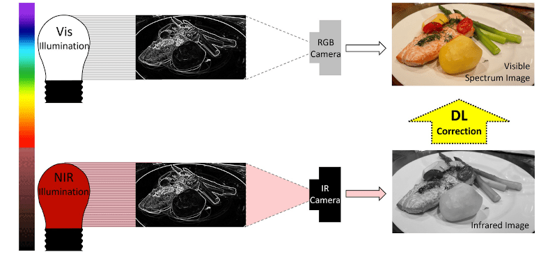 Night Vision: Now In&nbsp;Color