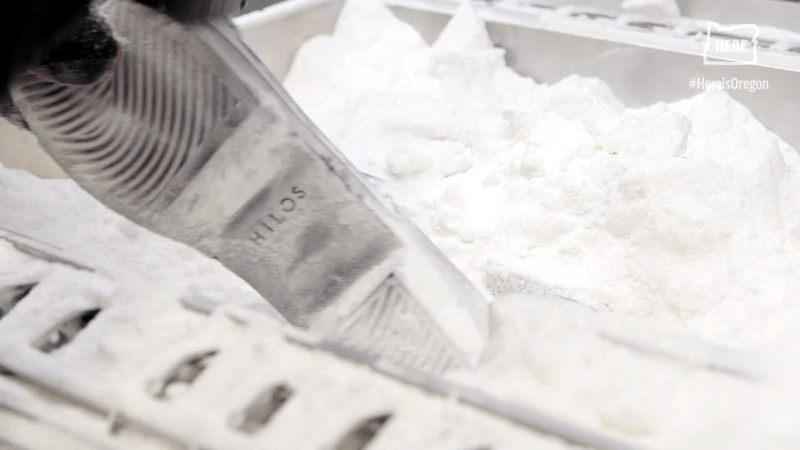 Inside 3D Printing&nbsp;Shoes