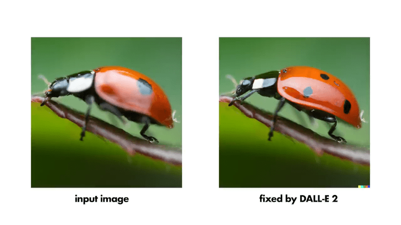 AI Image Generation Sharpens Your Bad Photos And Kills&nbsp;Photography?