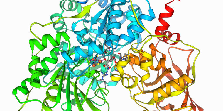 Have a protein you want inhibited? New software can design a&nbsp;blocker