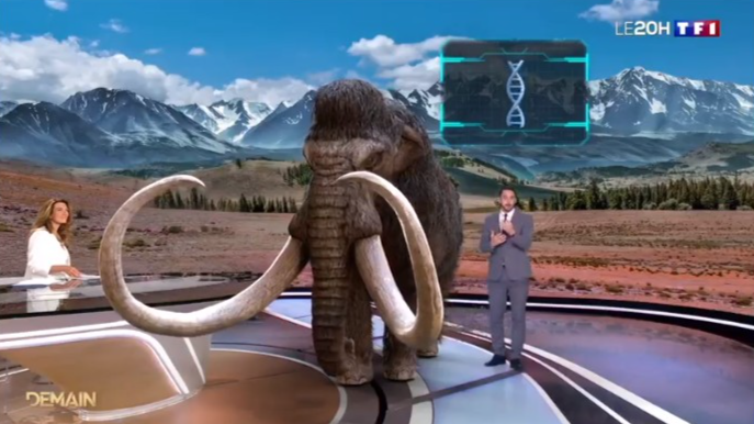 TF1 lance un dispositif de réalité augmentée pour approfondir ses&nbsp;sujets