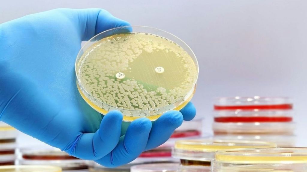 Découverte d&rsquo;une nouvelle classe d&rsquo;antibiotiques pour lutter contre la bactérie MRSA grâce à&nbsp;l&rsquo;IA