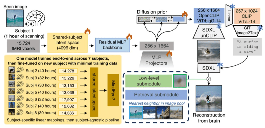 MindEye2: Modèles partagés de sujets permettent une reconstruction d&rsquo;IRM en image avec 1 heure de&nbsp;données