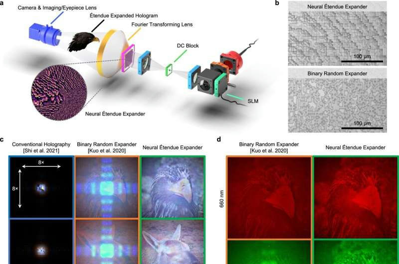 Les affichages holographiques offrent un aperçu d&rsquo;un futur&nbsp;immersif